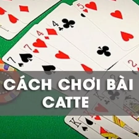 Game bài Catte – Cách chơi mang lại tỷ lệ chiến thắng cao
